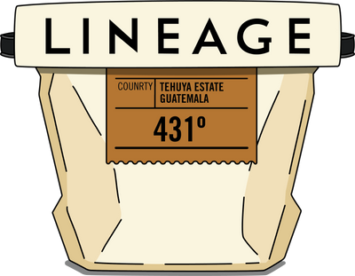 431° Subscription