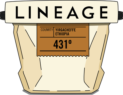431° Subscription