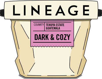 Dark & Cozy Subscription