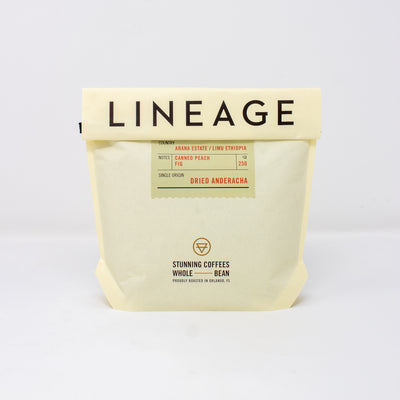Ethiopia Natural Anderacha