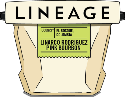 Colombia, Pink Bourbon – Linarco Rodriguez