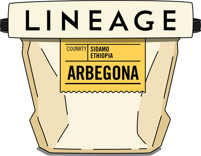 Ethiopia, Arbegona