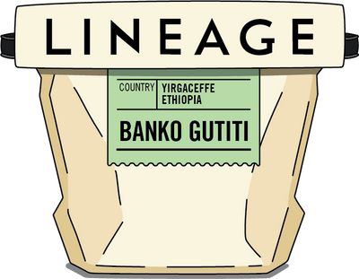 Ethiopia, Banko Gutiti