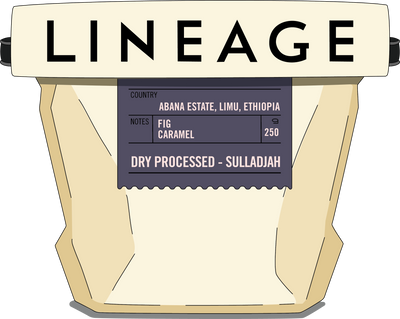 Ethiopia, Dry Processed - Sulladjah