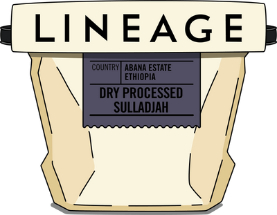 Ethiopia, Dry Processed - Sulladjah