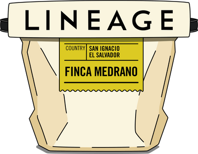 El Salvador, Finca Medrano