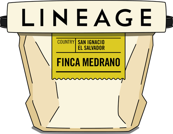 Photo of El Salvador, Finca Medrano Coffee Beans