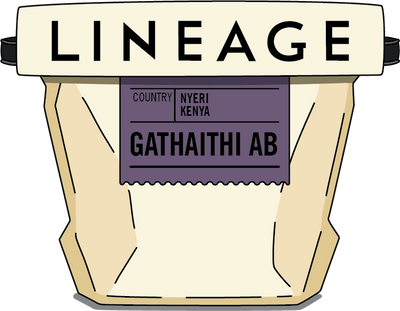 Kenya, Gathaithi AB
