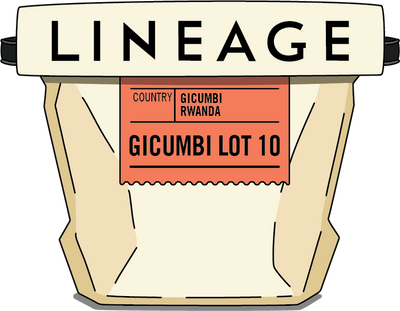 Rwanda, Gicumbi Lot 10