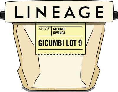 Rwanda, Gicumbi Lot 9