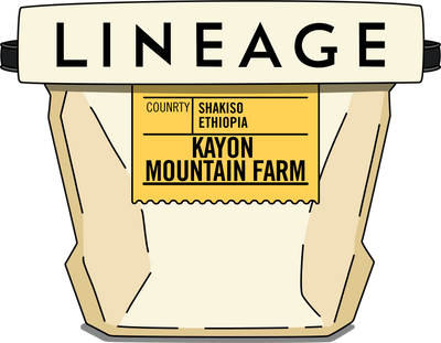 Ethiopia, Kayon Mountin Farm