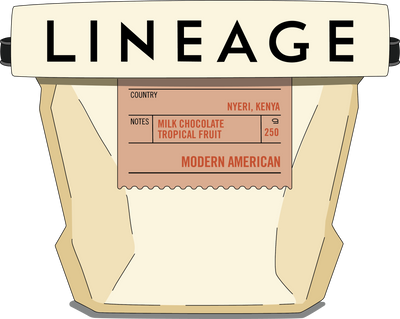 Modern American Subscription