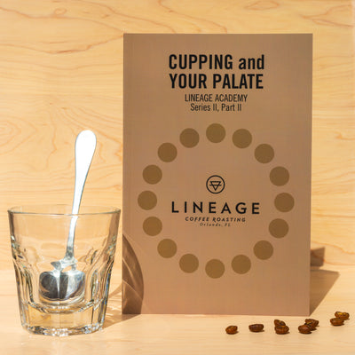 Cupping and Your Palate